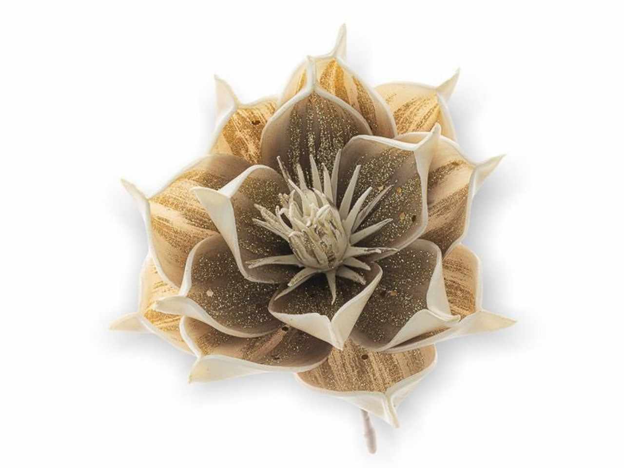 Magnolia 25cm beige1nhz1909