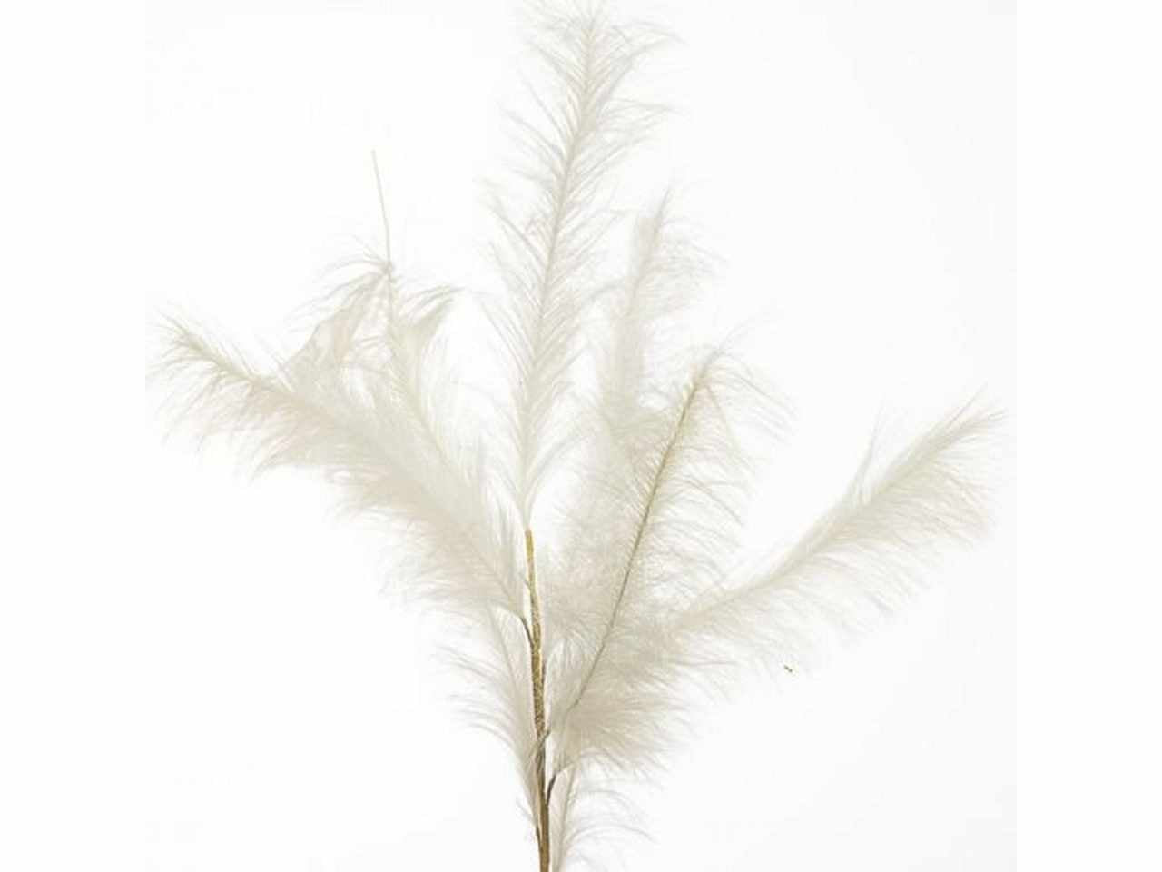 Pampas 140cm bianco 1nhz2082