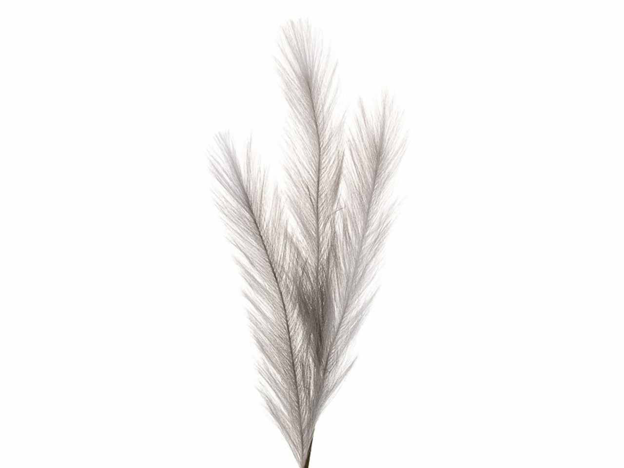 Pampas 85cm silver 2phz2100