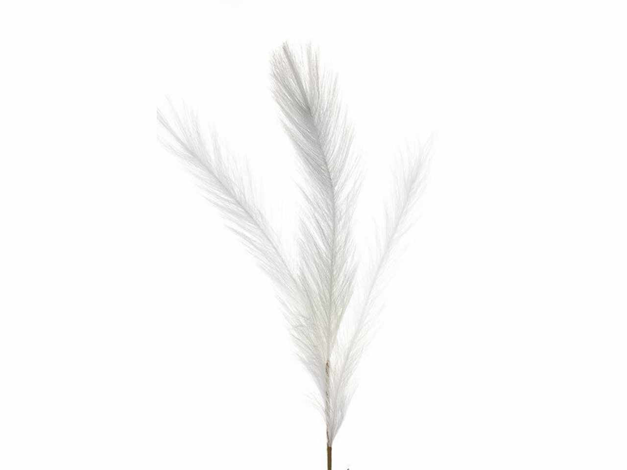 Pampas 85cm bianco 2phz2100