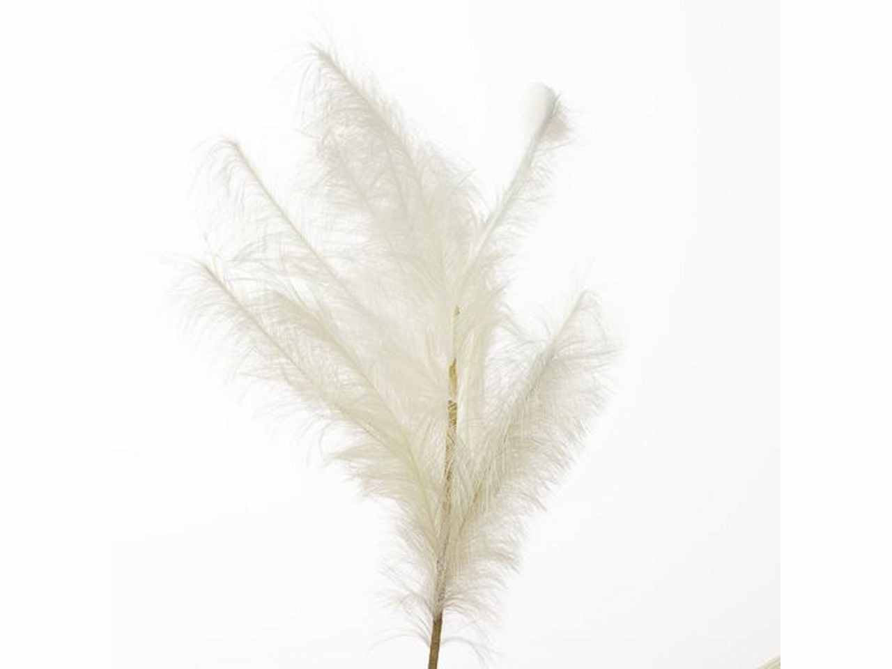 Pampas 180cm bianco 2phz2099