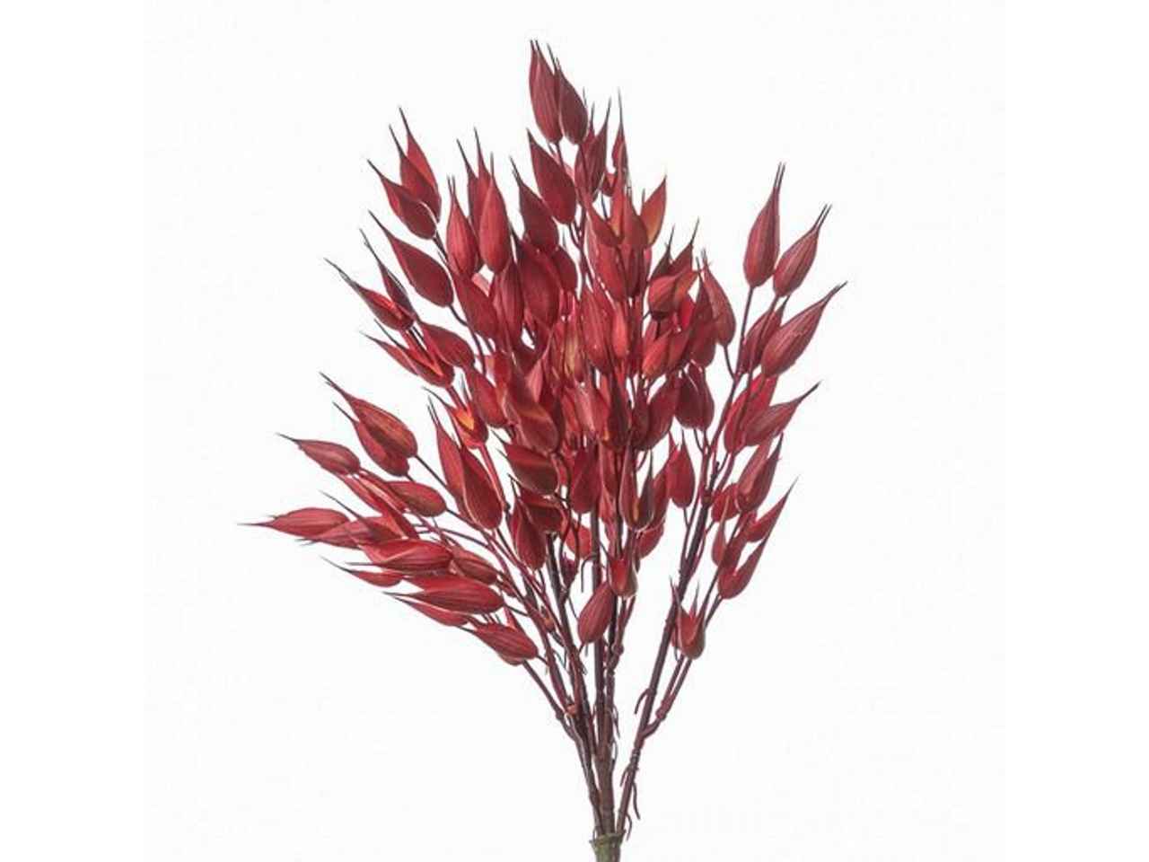 Mazzo con campanelle h.40cm rosse