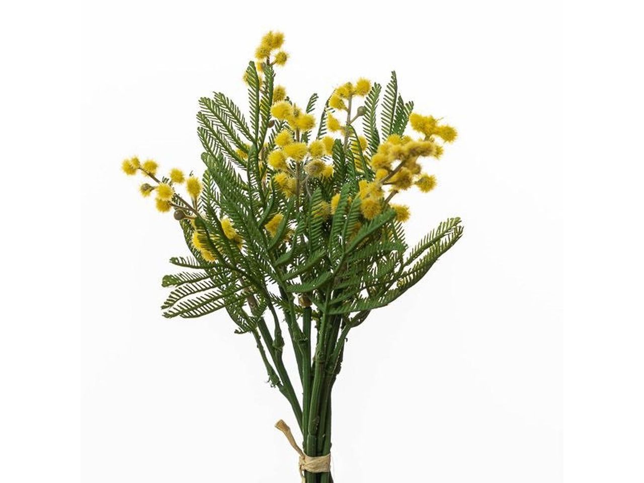 mazzetto mimosa 30cm