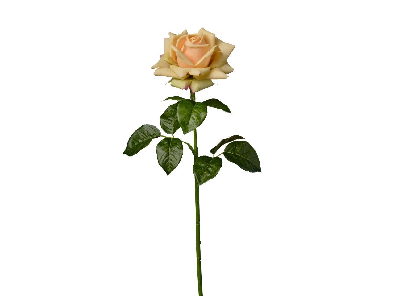 Ramo rosa singola 66cm giallo