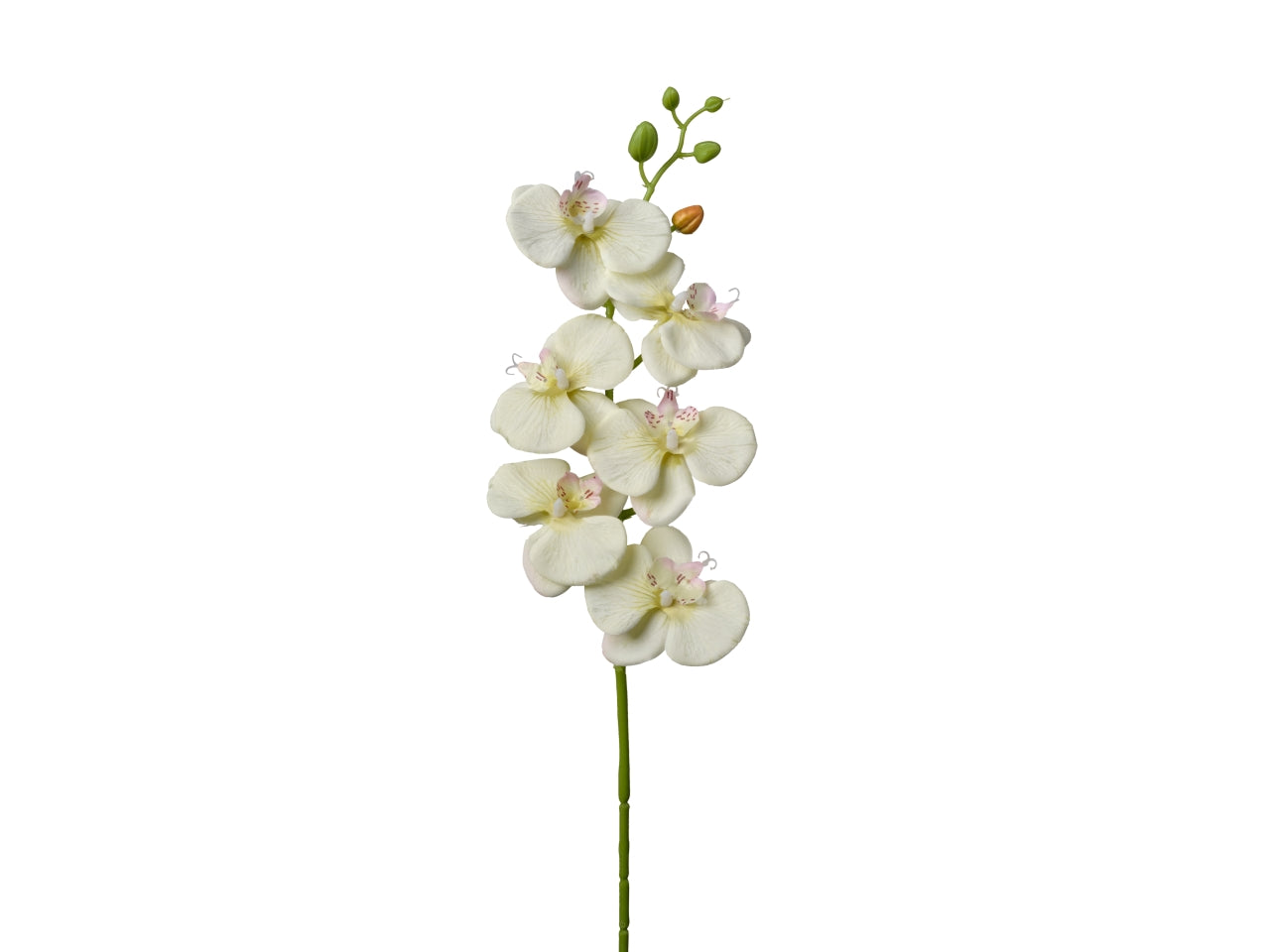 Orchidea crema artificiale ramo semi rigido 86cm - Conti