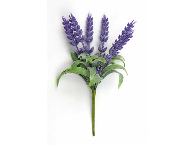 Mazzo lavanda l1956