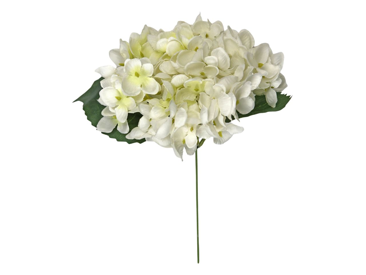 Mazzetto ortensie bianche con foglie