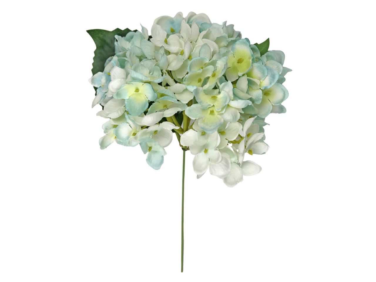 Mazzetto ortensie celeste con foglie