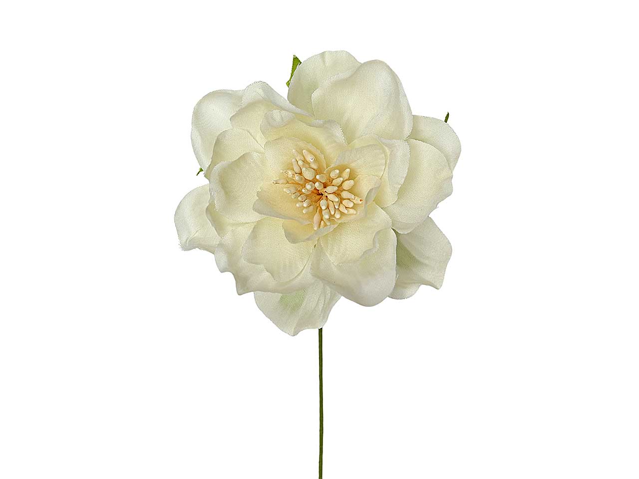 Peonia d.7,5ccm avorio l2174/iv