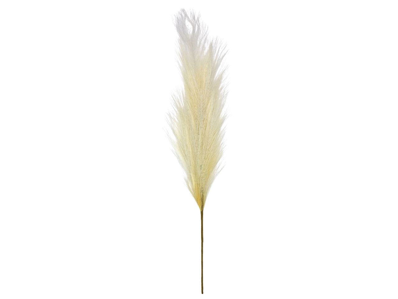 Pampas con stelo 70cm beige