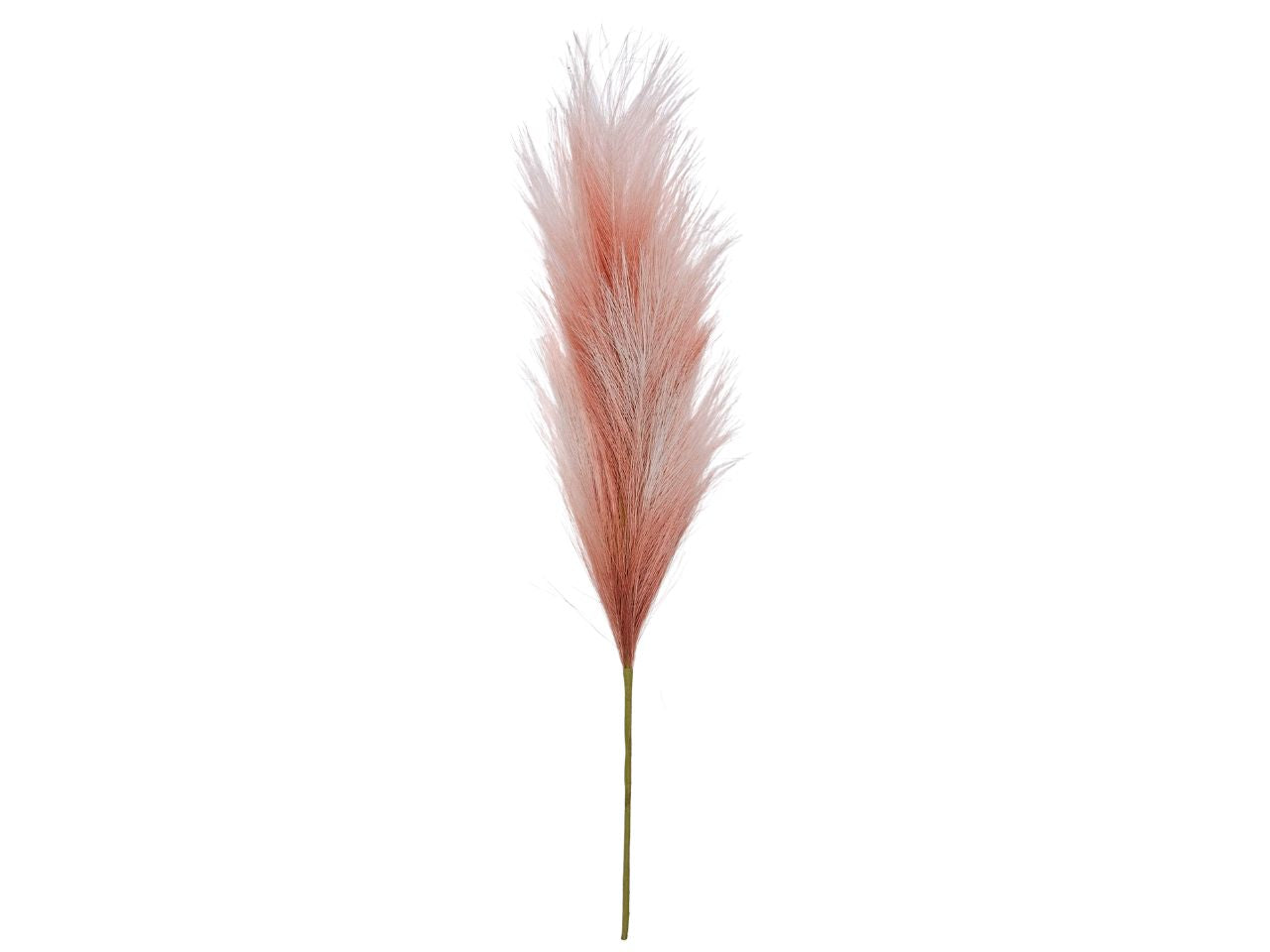 Pampas con stelo 70cm mauve