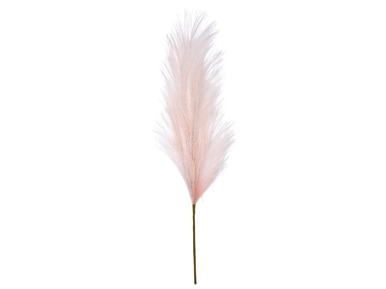Pampas con stelo 70cm rosa