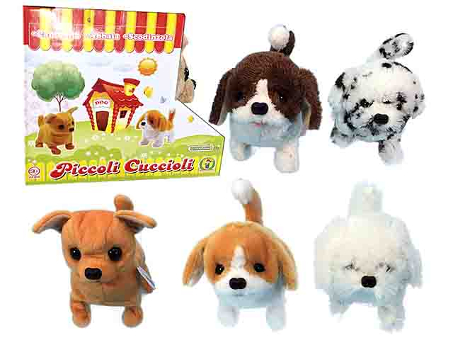 Cane piccolo cucciolo