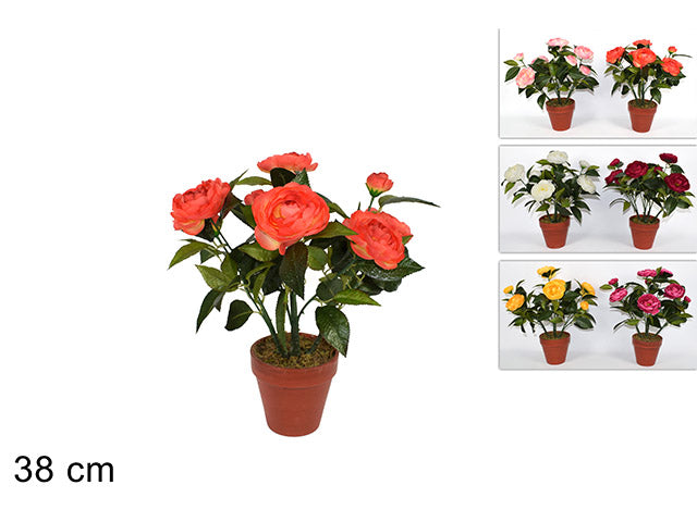 Piantina 8 fiori al005000