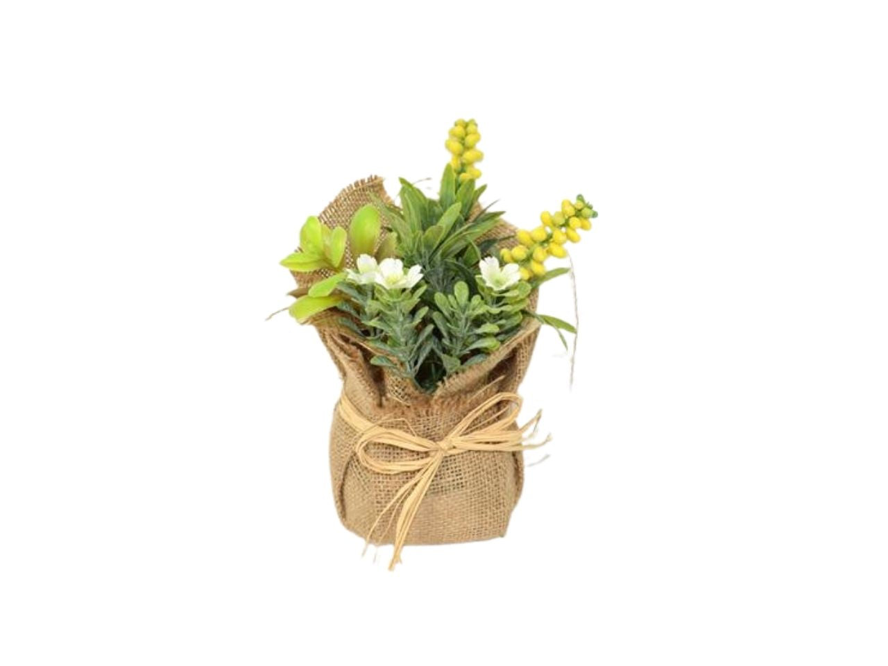 Piantina spezie 23cm mo000576