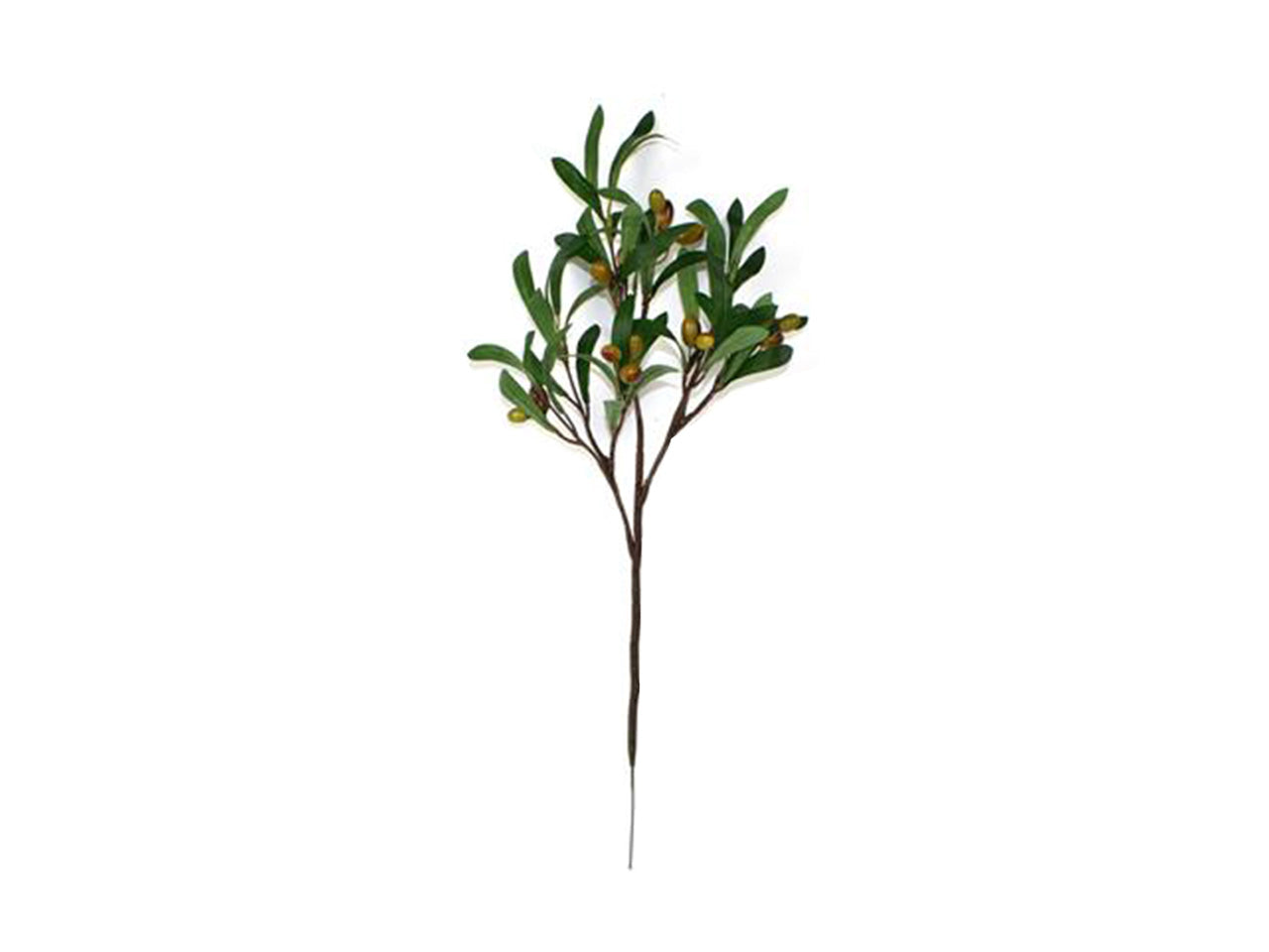 Stelo ulivo 55cm mo000589