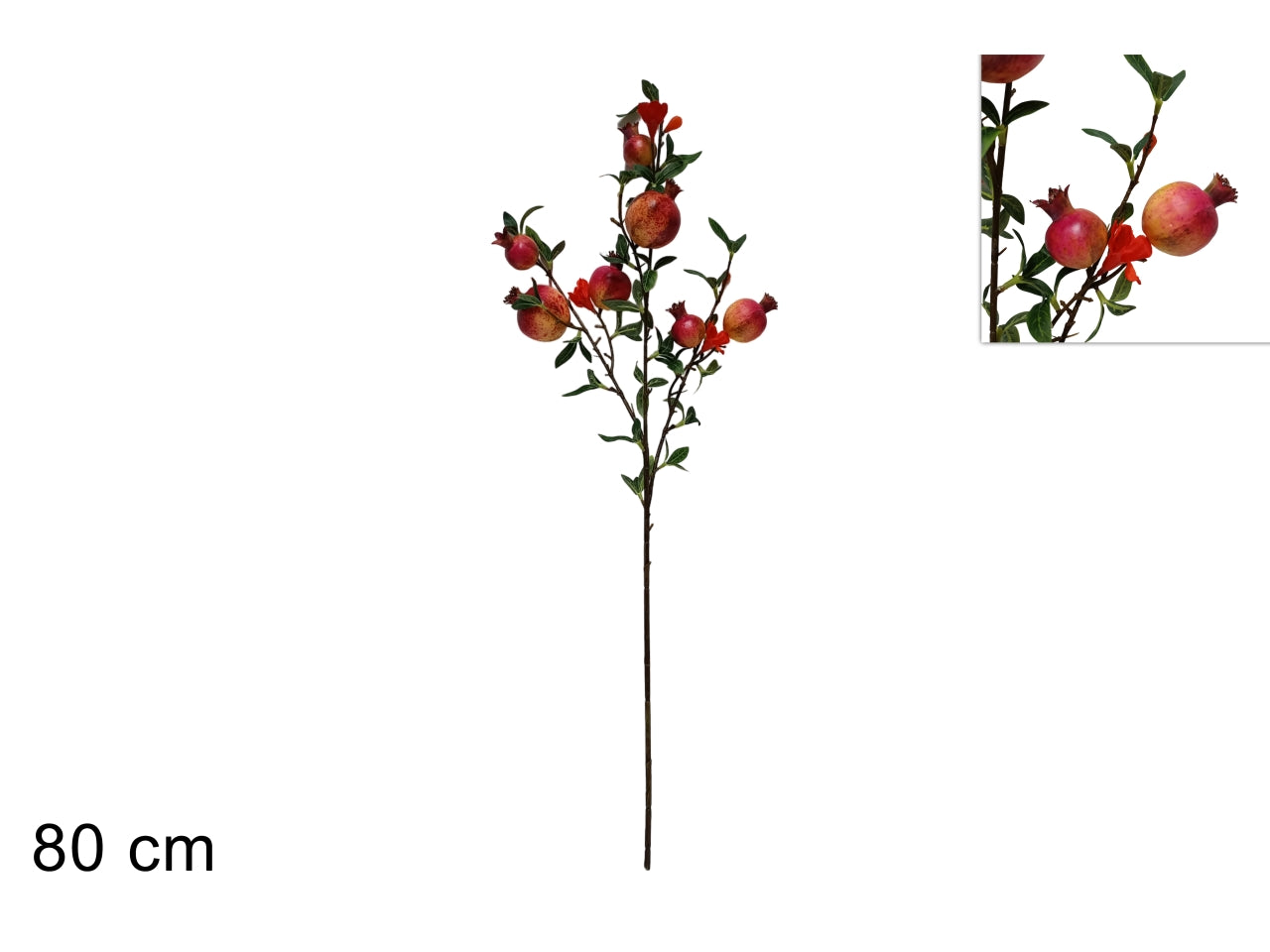 Stelo di melograno 80cm