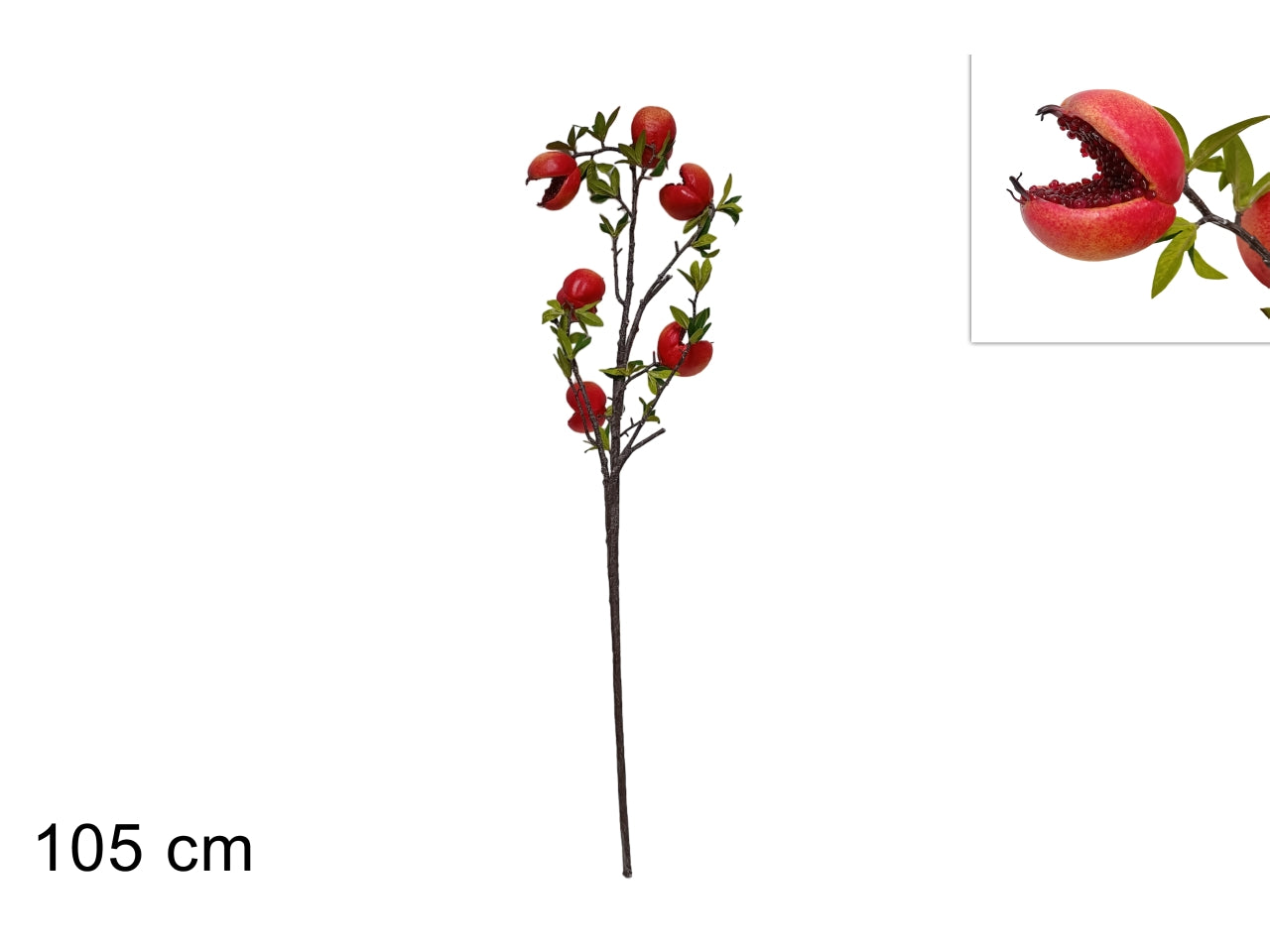 Stelo di melograno 105cm