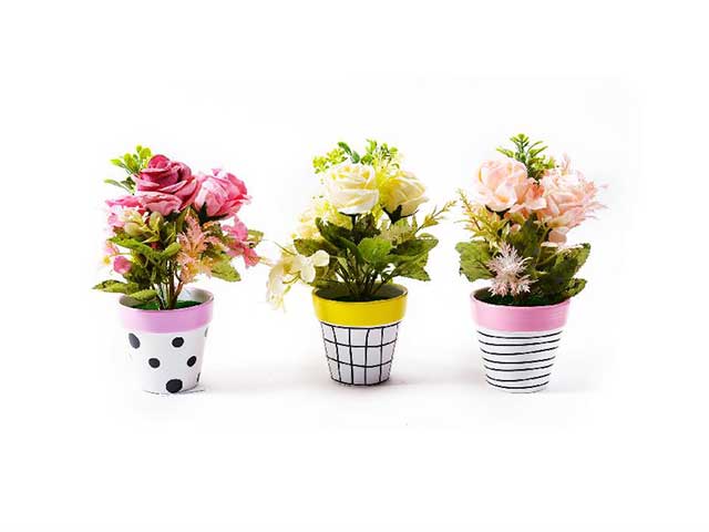 Piantina rose con vaso 21x9cm38049