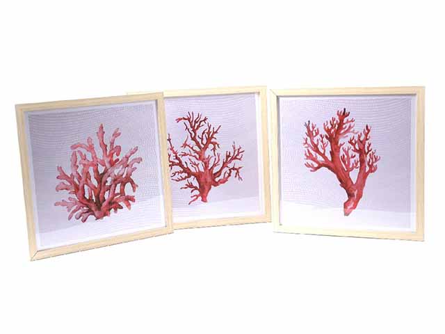 Quadro coral c/cornice 50x50cm 67933
