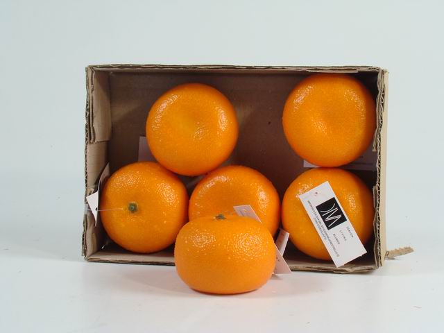 Limone arancio 6pz 110081