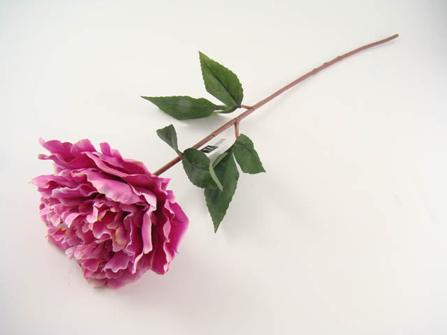 Peonia fucsia 110744
