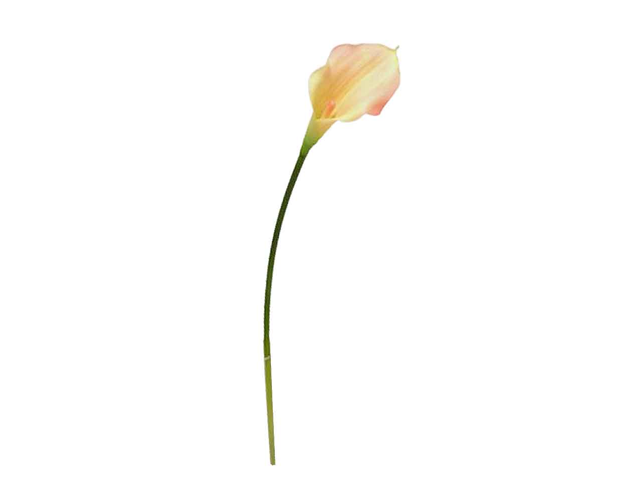 Calla spruzzata 55cm rosa 114435