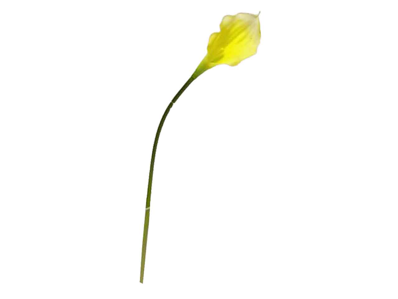 Calla spruzzata 55cm gialla 114435