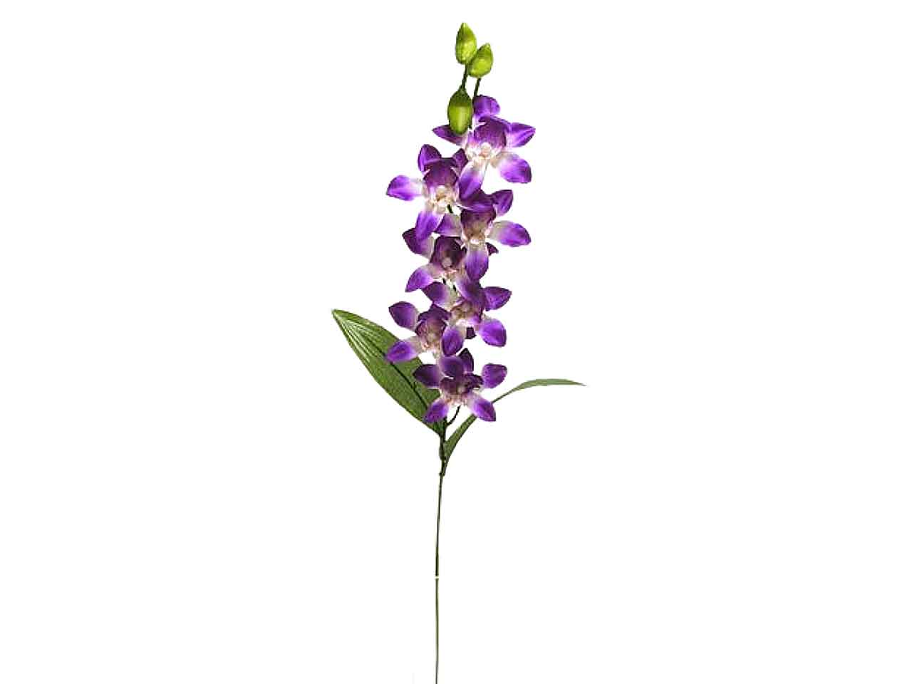 Orchidea singapore spruzzata naturale