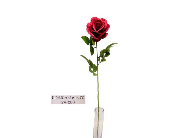 Rosa rossa 114620