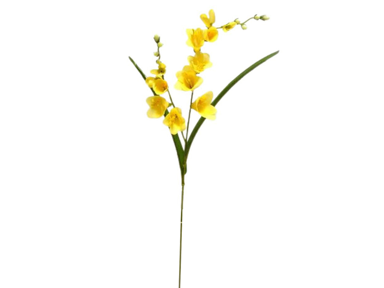 Fresia spruzzata x 2 colore giallo 67cm