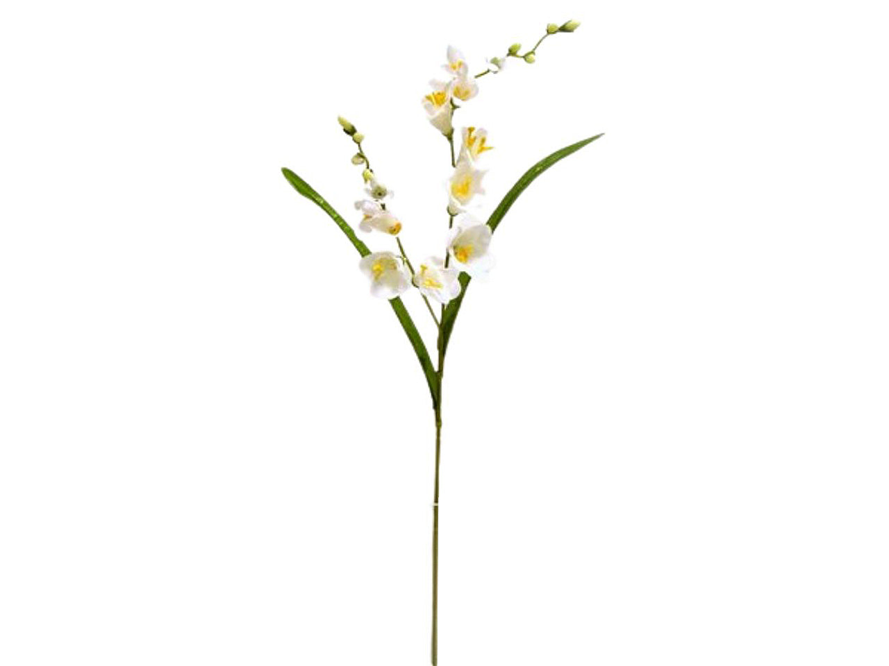 Fresia spruzzata x 2 colore crema 67cm