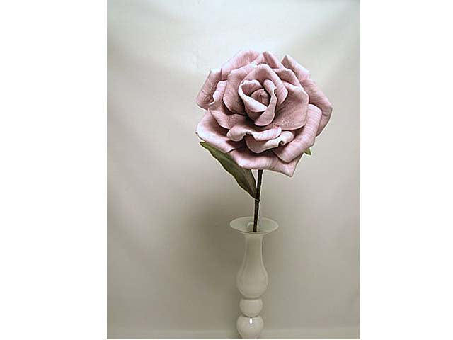 Rosa aperta rosa ds000614