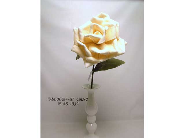 Rosa aperta ivory ds000614