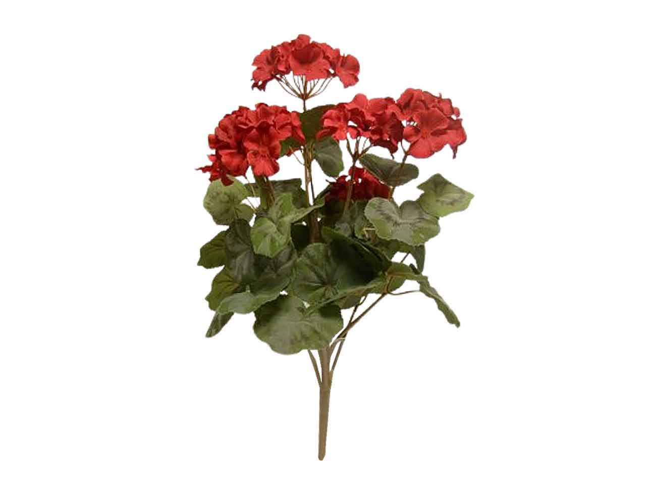 Geranio mazzo 49cm rosso ds000830