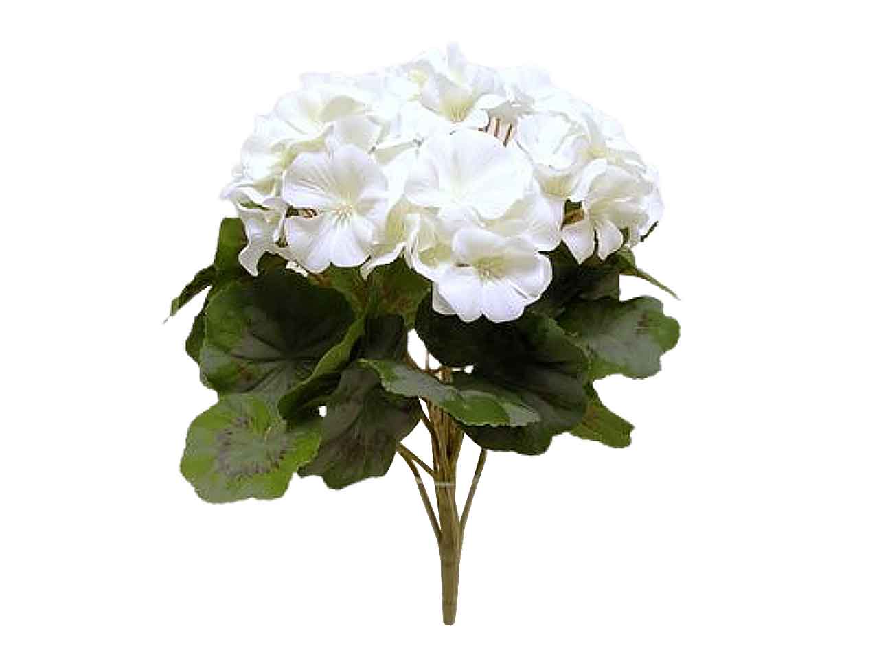 Mazzo di geranio colore crema 33cm
