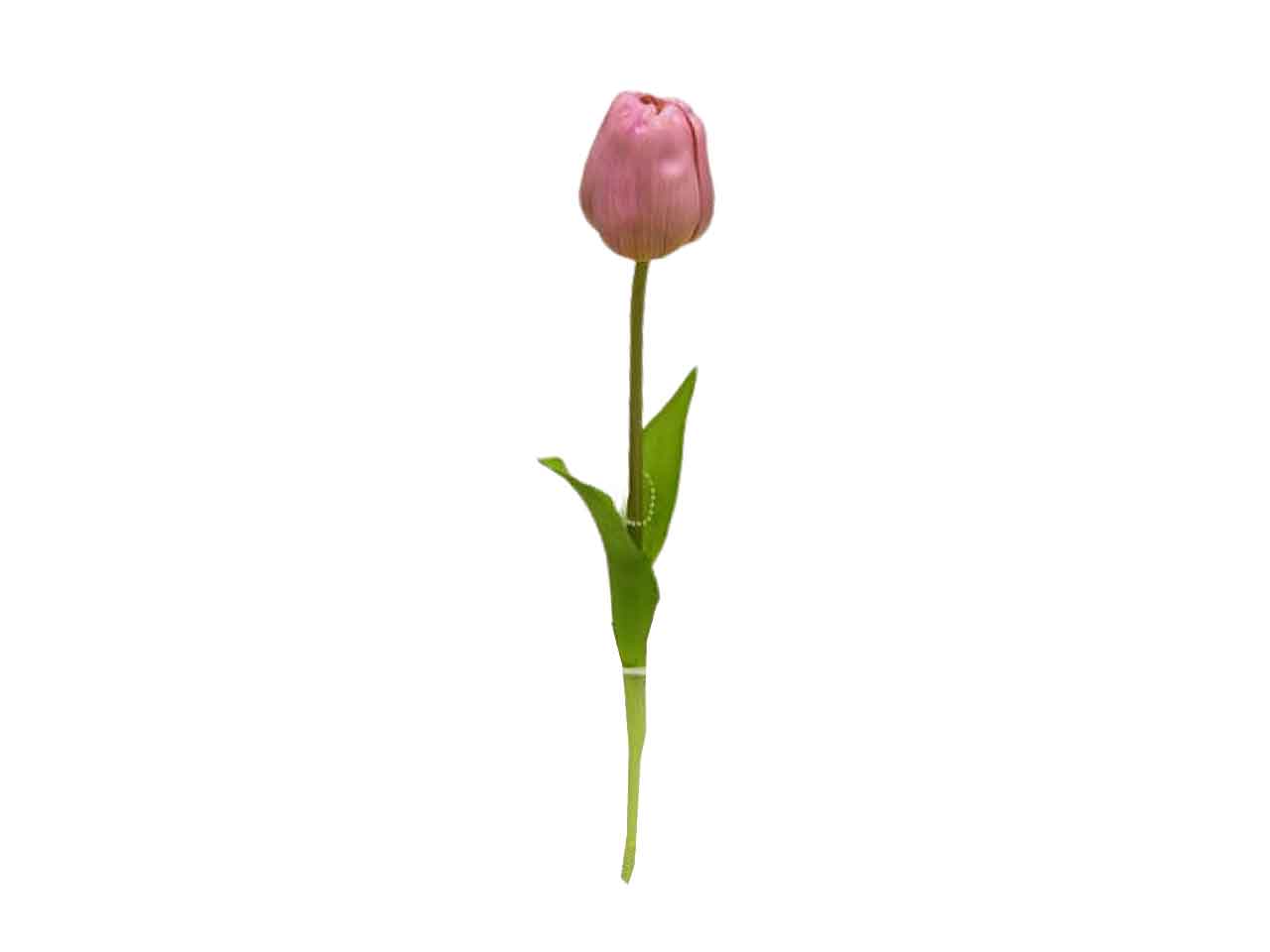 Tulipano lavanda 47cm ds000701