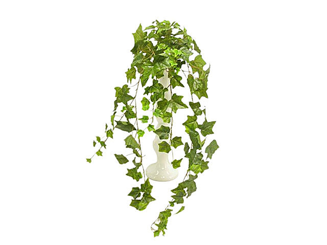 Edera rampicante con 159 foglie colore verde 100cm