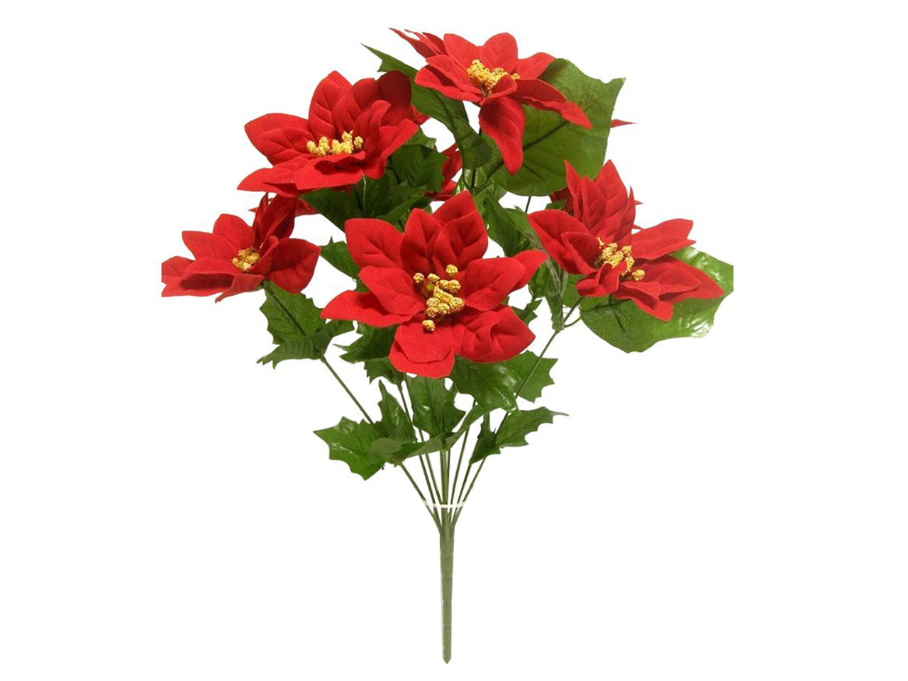 Mazzo di poinsettia x 10 misura 50cm colore rosso