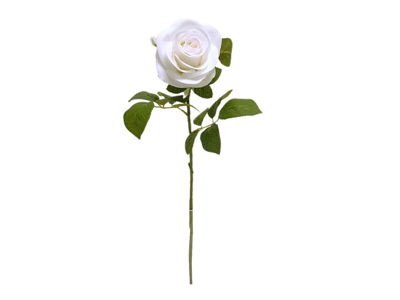 Rosa singola spruzzata colore crema 64cm