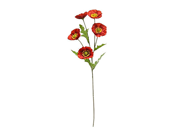 Papavero mini x5 68,5cm rosso ds001568