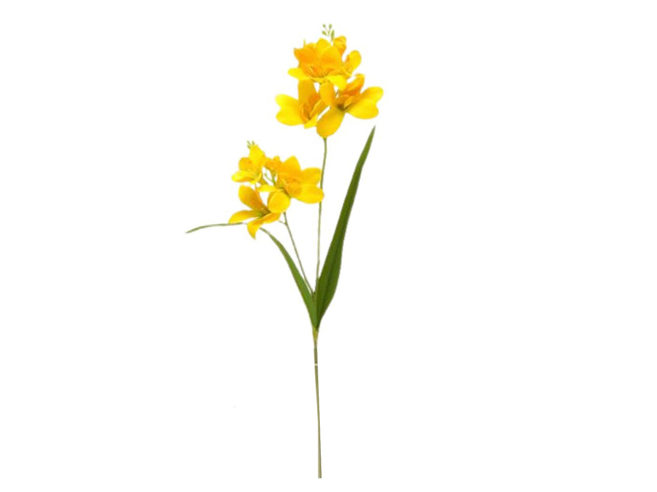 Fresia colore giallo 65cm