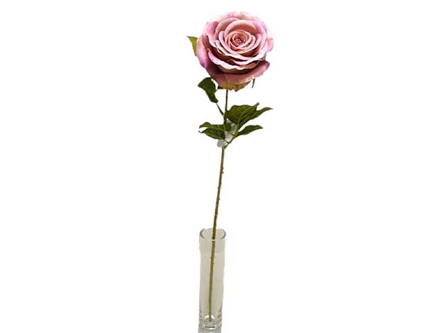 Rosa singola spruzzata mauve da000193
