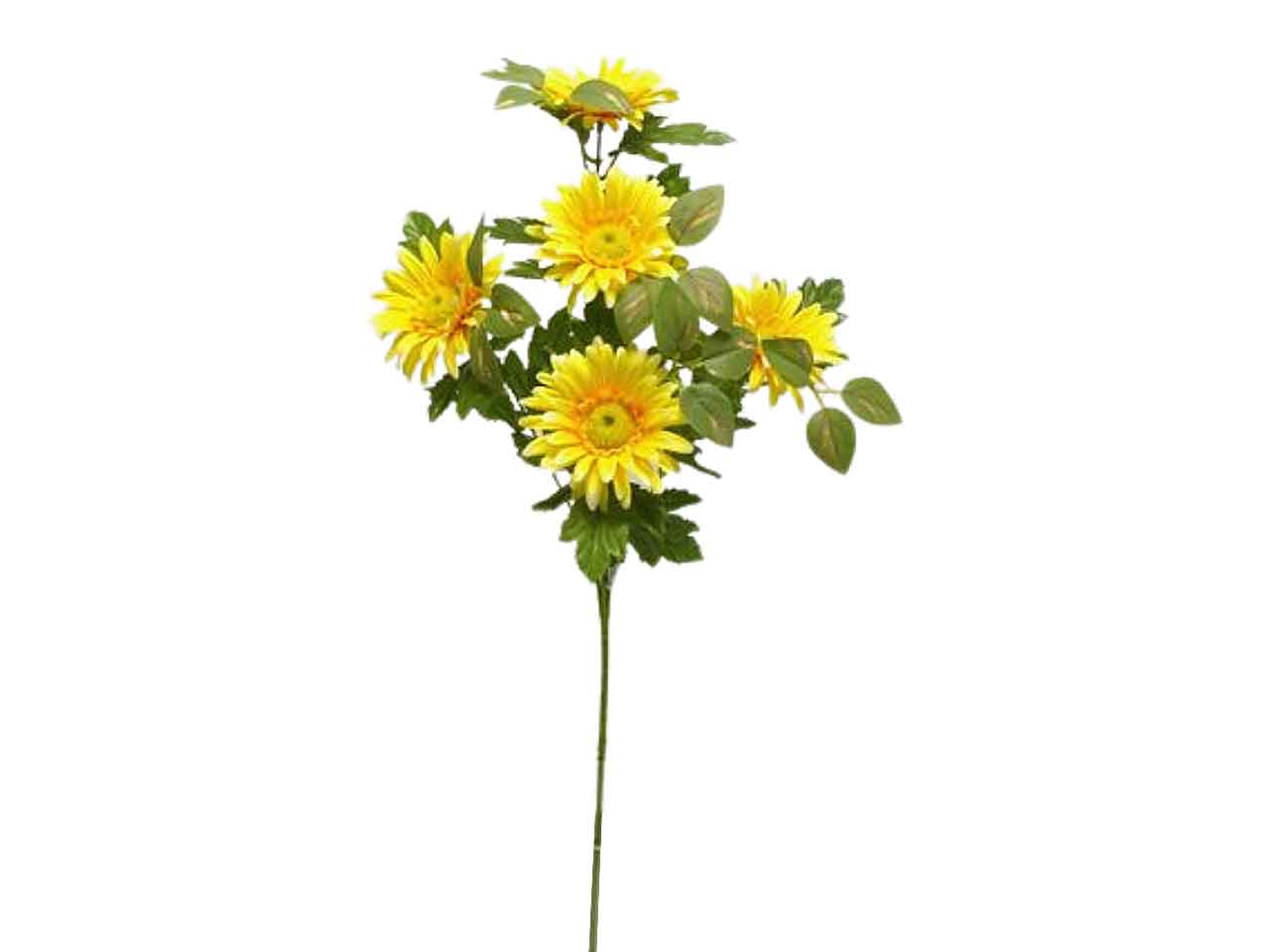 Margherita spruzzata gialla ds001764