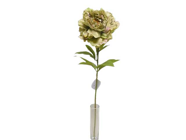Peonia singola 70cm verde da000234