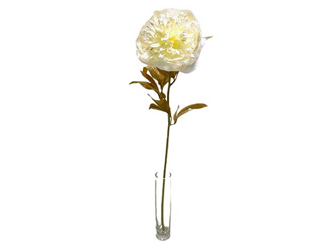 Peonia singola 71cm crema dc000669