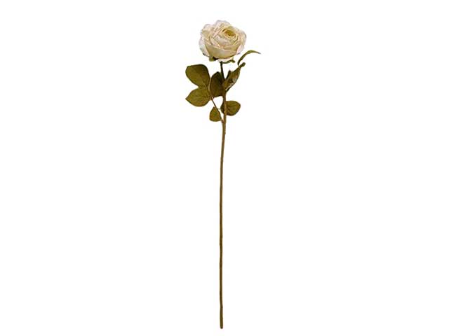 Rosa singola 66cm avorio da000259