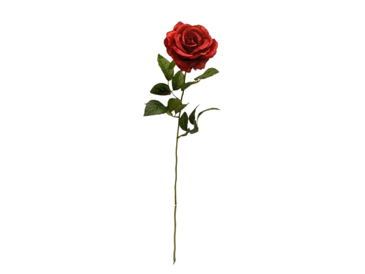 Rosa 70cm rossa 114620