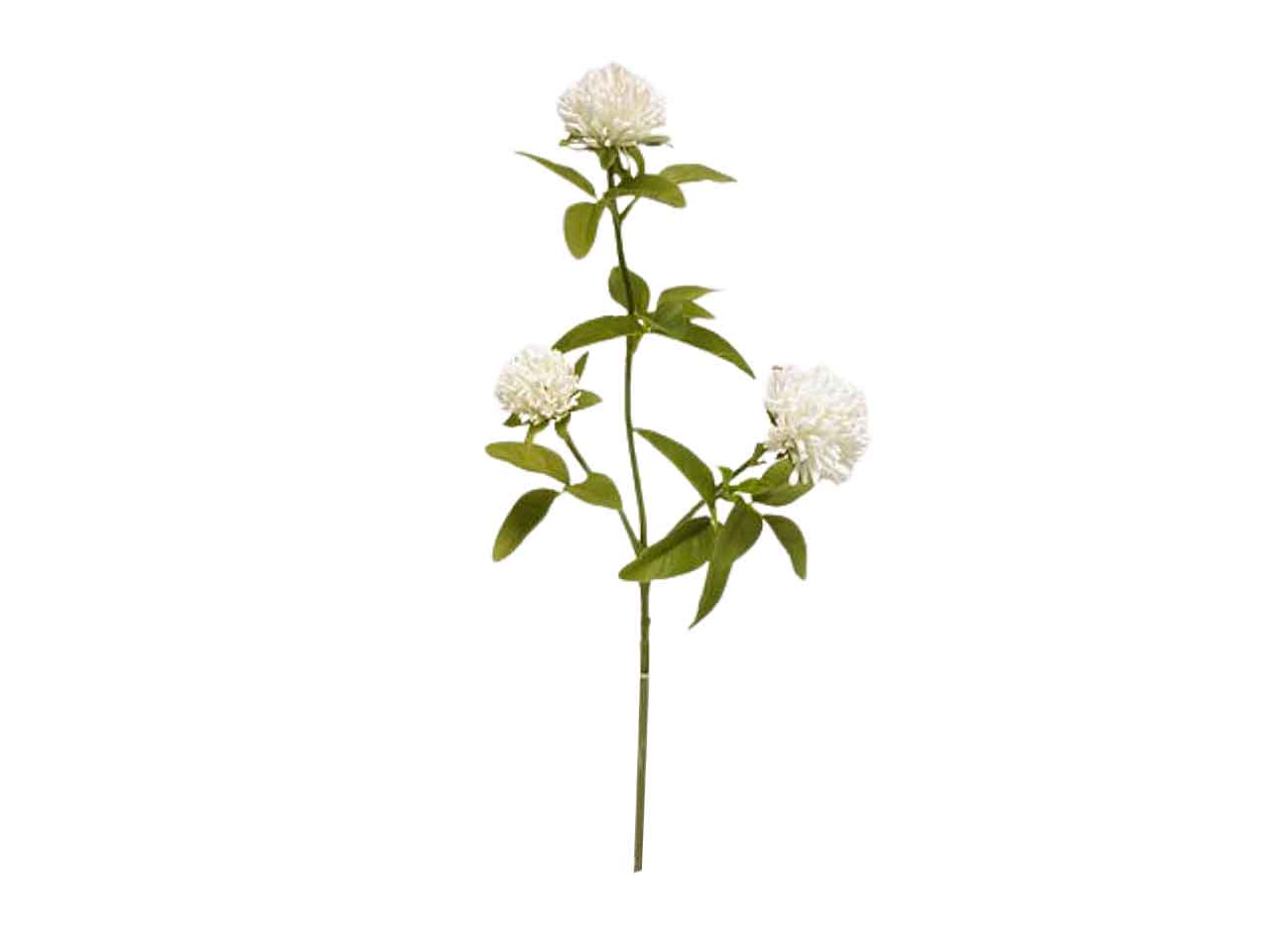 Trifoglio crema x3 54,5cm ds002068