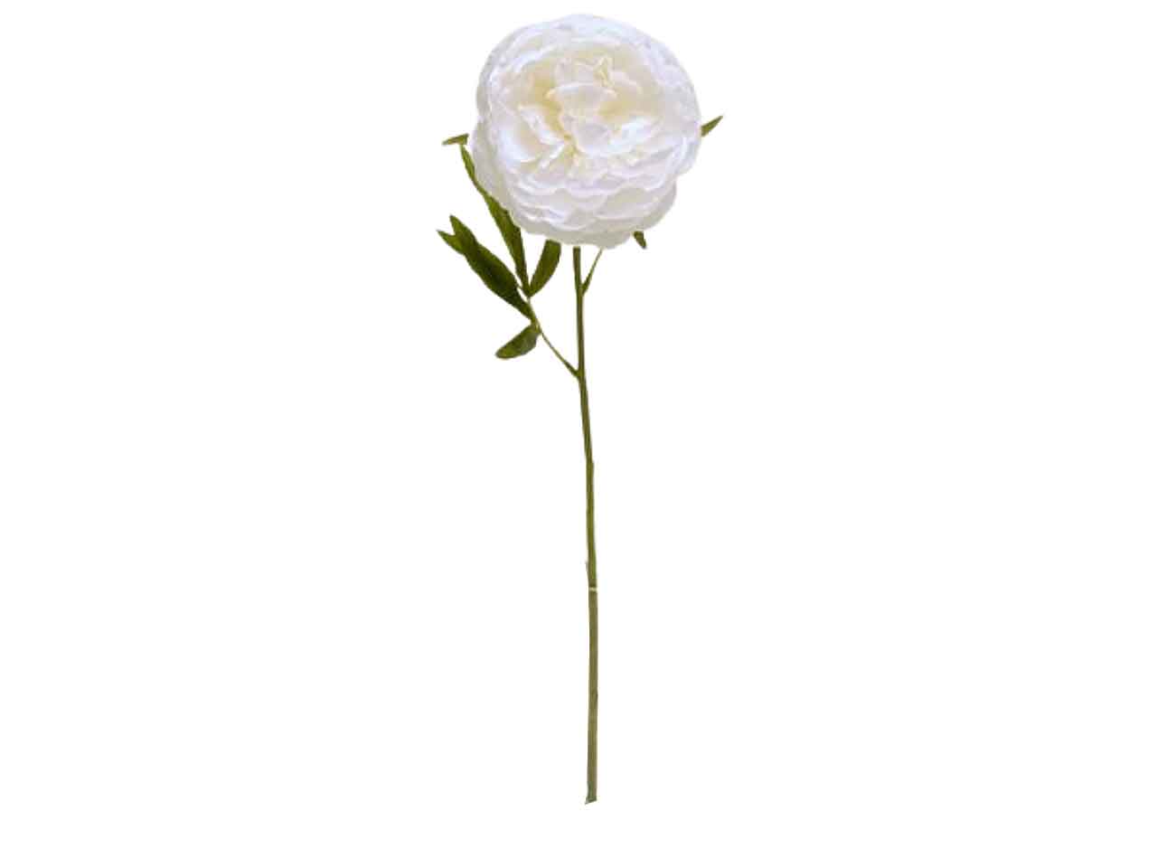 Peonia singola con 2 set di foglie colore crema 63 cm